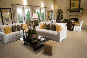 carpets for sale