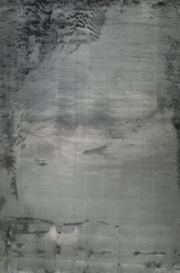 RABBIT FUR GREY 7X10