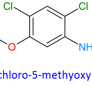Chemical Structure of 2,4-Dichloro-5-Methyoxyaniline 98446-49-2