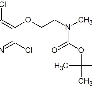 tert-butyl {2-[(4,6-dichloropyrimidin-5-yl)oxy]ethyl}methylcarbamate