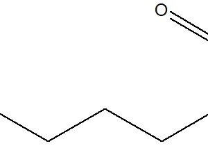 L-Lysine