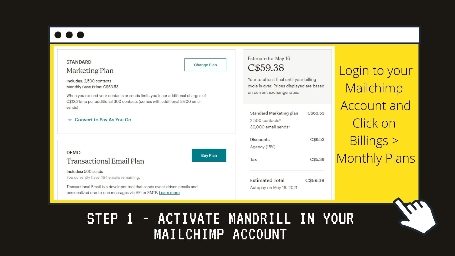2 Mailchimp-Training-Program