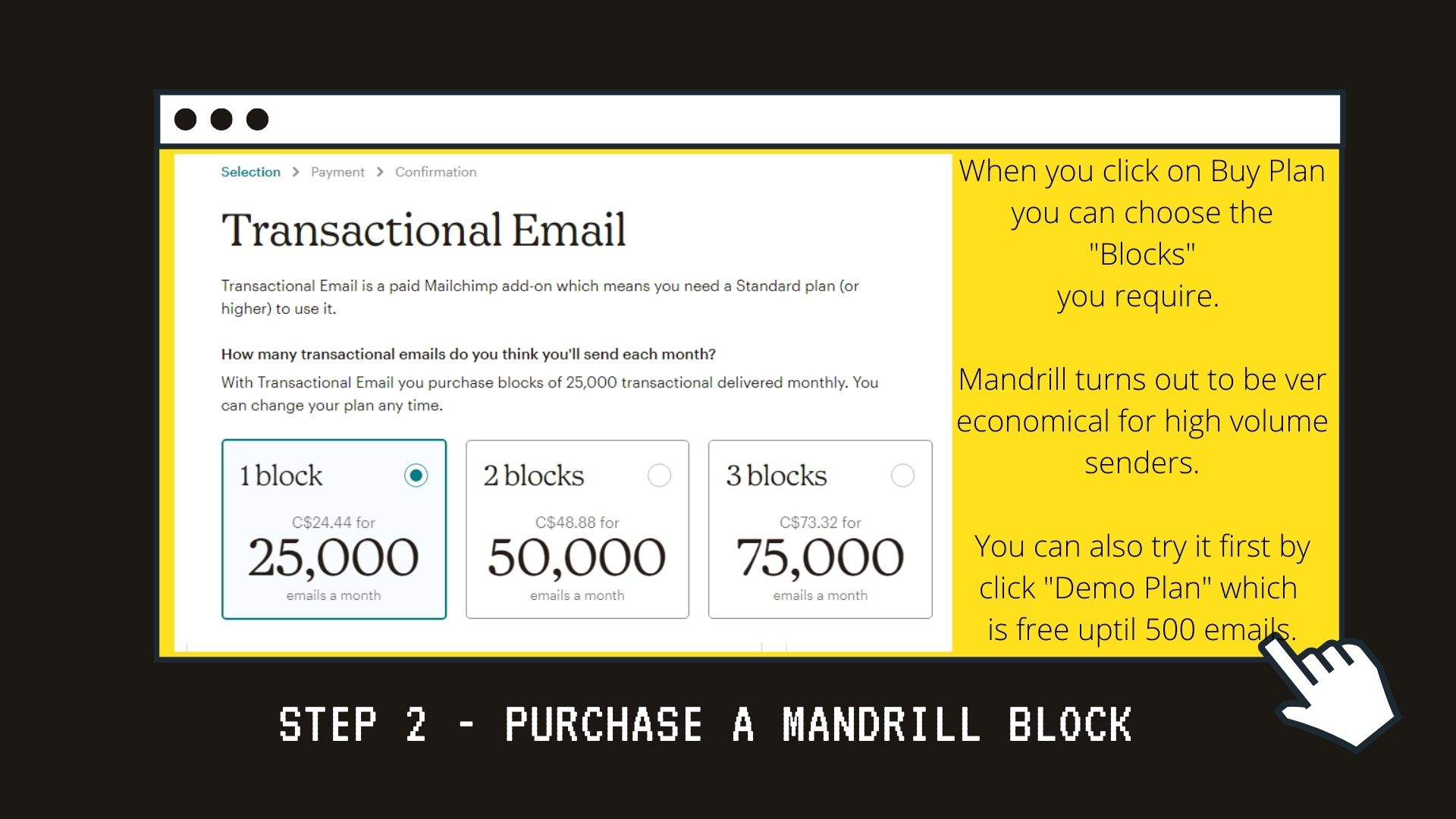 3 Mailchimp-Training-Program