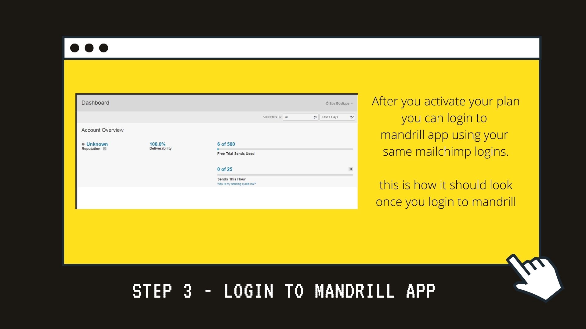 4 Mailchimp-Training-Program